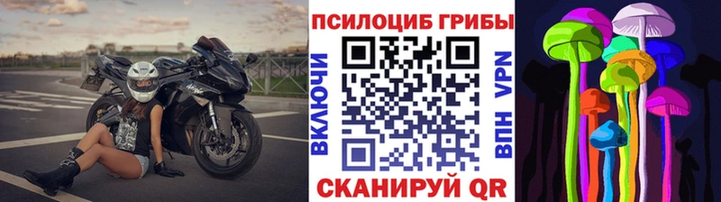 Псилоцибиновые грибы Magic Shrooms  Купить  Абаза 